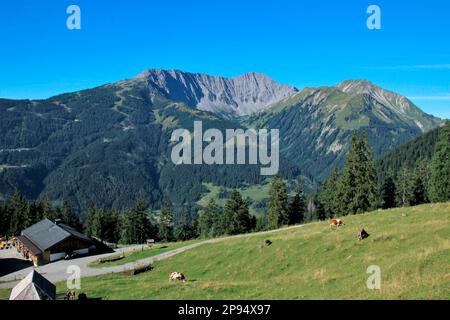 Blick von oben auf das Tuftlalm (1496m) im Hintergrund links das Grubigstein auf der rechten Seite Gartnerwand (2377m), Lermoos, Zugspitzarena, Tirol, Österreich Stockfoto