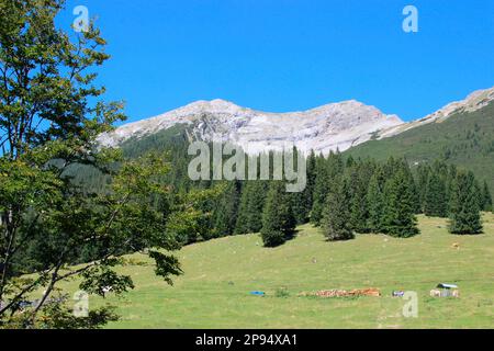 Blick von der Tuftlalm auf den Gipfel der Upsspitze (2332m) auf der linken Seite, auf der rechten Seite den Daniel (2340m), den höchsten Gipfel der Ammergaualpen, Lermoos, Zugspitzarena, Tirol, Österreich Stockfoto