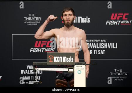 10. März 2023, Las Vegas, NV, LAS VEGAS, NV, Vereinigte Staaten: LAS VEGAS, NV - MÄRZ 10: Said Nurmagomedov tritt auf die Waage für die offiziellen Wiegeversuche beim UFC Apex für die UFC Fight Night - Vegas 71 - Yan gegen Dvalishvili am 10. März 2023 in Las Vegas, NV, Vereinigte Staaten. (Kreditbild: © Louis Grasse/PX Imagens via ZUMA Press Wire) NUR REDAKTIONELLE VERWENDUNG! Nicht für den kommerziellen GEBRAUCH! Stockfoto