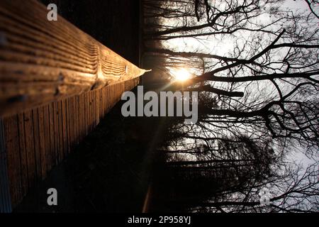 Ufer bei Sonnenaufgang am Seeufer, Utting, Ammersee, Voralpensee, Alpenvorland, Oberbayern, Bayern, Deutschland Stockfoto