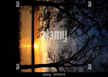 Sonnenaufgang am See, Holzhausen, Ammersee, Voralpensee, Alpenvorland, Oberbayern, Bayern, Deutschland Stockfoto