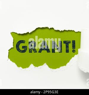 Berechtigung für konzeptionelle Anzeige. Internet-Konzeptgeld, das von einer Organisation oder Regierung für ein zweckmäßiges Stipendium vergeben wird Stockfoto