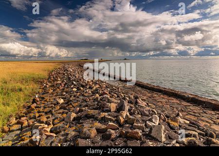 Küstenabdruck Hallig Langeneß Stockfoto