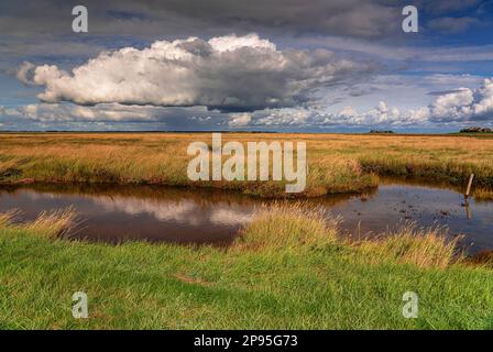 Landschaftsabdruck Hallig Langeneß Stockfoto