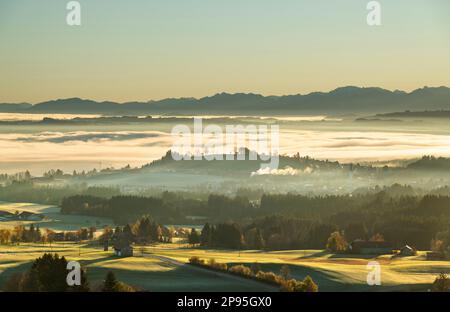 Sonniger Morgen in Allgäu. Blick über das neblige Illertal-Tal bis zu den Alpen. Bayern, Deutschland Stockfoto