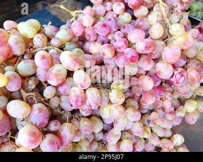 Trauben Viele reife Trauben aus der Nähe. Die Konsistenz der Beeren als Hintergrund. Weinkellerei Rebsortenweinproduktion Stockfoto