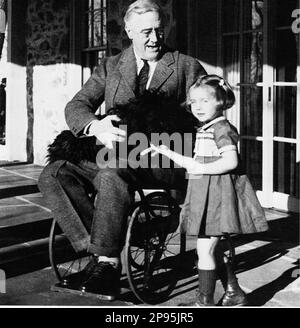 FRANKLIN DELANO ROOSEVELT ( 1882 - 1945 ), der oft mit seinen Initialen FDR bezeichnet wird, war der 32. Präsident der Vereinigten Staaten. War vom 4. März 1933 bis zum 12. April 1945 der 22. Und 24. Präsident der Vereinigten Staaten. Auf diesem Foto im Rollstuhl mit ein paar Nüchtern. - Presidente della Repubblica - USA - Rituto - Portrait - Cravatta - Krawatte - Halsband - colletto - sedia a rotelle - USA - UNITI ---- Archivio GBB Stockfoto