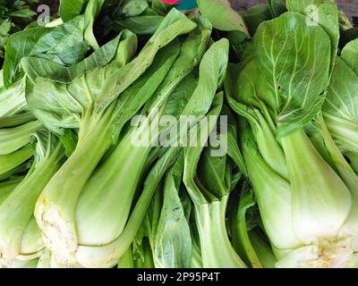 Ein Haufen Chinakohl Stockfoto