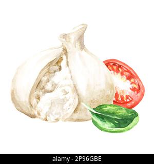 Burrata italienischer Weichkäse mit Tomaten und Basilikum. Handgezeichnete Aquarelldarstellung isoliert auf weißem Hintergrund Stockfoto