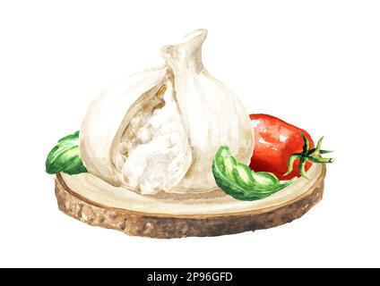 Burrata italienischer Weichkäse mit Tomaten und Basilikum. Handgezeichnete Aquarelldarstellung, isoliert auf weißem Hintergrund Stockfoto