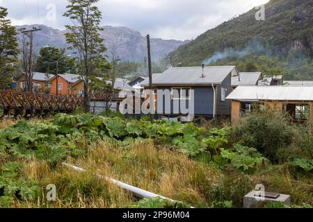 Kleine farbenfrohe Häuser und nalca Pflanzen entlang der hölzernen Wege von Tortel, Patagonien, Chile Stockfoto