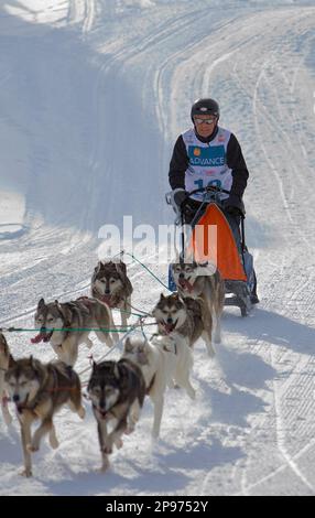 Pirena. Schlittenhunderennen in den Pyrenäen, Spanien, Andorra und Frankreich durchlaufen. Baqueira Beret. Provinz Lleida. Katalonien. Spanien Stockfoto