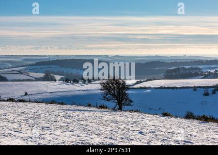 Eine Winterlandschaft in Sussex an einem sonnigen Tag mit Schnee am Ditchling Beacon Stockfoto