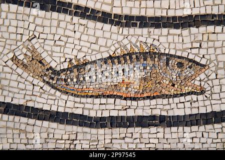 Mosaik eines Fischs im Boden vor der Chiesa di Santa Maria Assunta, Positano, Salerno, Amalfiküste, italienische Kirche Santa Maria Assunta Stockfoto