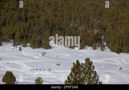 Pirena. Schlittenhunderennen in den Pyrenäen, Spanien, Andorra und Frankreich durchlaufen. Baqueira Beret. Provinz Lleida. Katalonien. Spanien Stockfoto