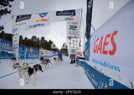 Pirena. Schlittenhunderennen in den Pyrenäen, Spanien, Andorra und Frankreich durchlaufen. La Molina. Provinz Girona. Katalonien. Spanien Stockfoto