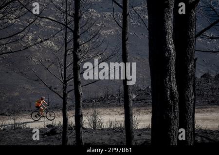 Folgen eines Waldbrands im Navalacruz- oder Navalcruz-Wald, Navalacruz oder Navalcruz, Avila, spanien Stockfoto