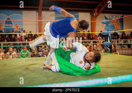 Lucha Libre. Kampf zwischen Transvestite und Cholita Angela la Folclorista, Wrestler, Sportzentrum La Ceja, El Alto, La Paz, Bolivien Stockfoto