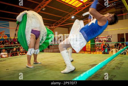 Lucha Libre. Kampf zwischen Transvestite und Cholita Angela la Folclorista, Wrestler, Sportzentrum La Ceja, El Alto, La Paz, Bolivien Stockfoto