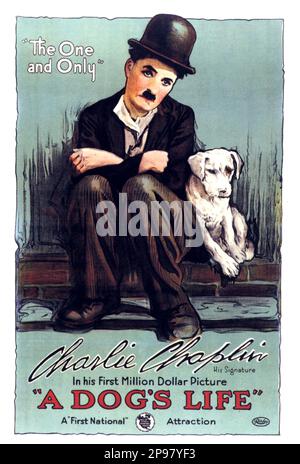 1918 : das Original-Filmposter des Stummfilmdarstellers UND Filmregisseurs CHARLES CHAPLIN ( 1889 - 1977 ) Ein HUNDELEBEN - KINO - FILM - Candid - Porträt - Rituto - Hut - cappello - regista cinematografico - attore - comico - Hund - Stock - Halsband - colletto --- Archivio GBB Archivio - USA - FILM - FILM - KINO - Poster pubblicitario - Poster - Werbung - locandina --- Archivio GBB Stockfoto