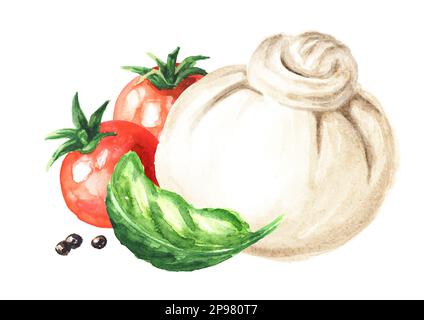 Burrata Weichkäse mit Tomaten und Basilikum. Handgezeichnete Aquarelldarstellung isoliert auf weißem Hintergrund Stockfoto