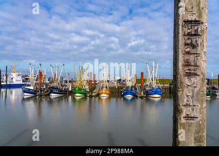 Fischerboote, Krabbenschneider im Hafen von Norddeich, Niedersachsen, Deutschland Stockfoto