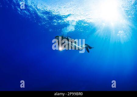 Taucher (MR) mit Licht und Sonnenstrahlen, die durch die Oberfläche vor der Insel Maui, Hawaii, hinunterleuchten. Stockfoto