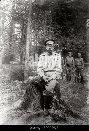 1818 : der russische Zar Nicholas II. Von Russland ( 18. Mai 1868 bis 17. Mai 1918) ( Nikolay II) in den letzten Tagen der Haft . War der letzte Kaiser Russlands, König von Polen und Großherzog von Finnland. Er herrschte von 1894 bis zu seiner Zwangsabdankung im Jahr 1917 . Nicholas war nicht in der Lage, ein Land in politischen Unruhen zu managen und seine Armee im Ersten Weltkrieg zu befehligen. Seine Herrschaft endete mit der russischen Revolution von 1917, nach der er und seine Familie von Bolschewiken hingerichtet wurden. Nach seiner Heiligsprechung wurde er von der russisch-orthodoxen Kirche als der Heilige Nikolaus, der Leidenschafter, angesehen. - fotostoric Stockfoto