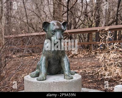Kansas City, Missouri - 4. März 2023 - Baby Lion Statue im Kansas City Zoo Stockfoto