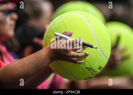 Junge italienische Fans bei den Davis Cup Finals der Gruppe A (Unipol Arena, Bologna) Stockfoto