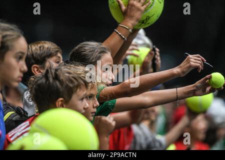 Junge italienische Fans bei den Davis Cup Finals der Gruppe A (Unipol Arena, Bologna) Stockfoto