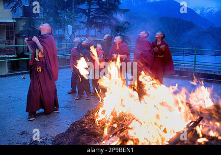 Junge Mönche, Ritual zum Bösen im Losar Neujahr, im Namgyal Kloster, im Tsuglagkhang Komplex. McLeod Ganj, Dharamsala, Bundesstaat Himachal Pradesh, Stockfoto