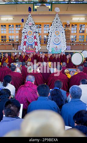 Puja, Mönche beten während Losar Neujahr, im Namgyal Kloster, im Tsuglagkhang Komplex. McLeod Ganj, Dharamsala, Himachal Pradesh, Indien, Asien Stockfoto