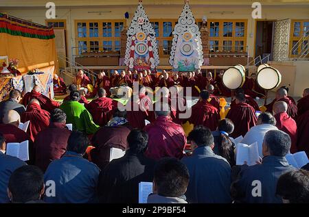 Puja, Mönche beten während Losar Neujahr, im Namgyal Kloster, im Tsuglagkhang Komplex. McLeod Ganj, Dharamsala, Himachal Pradesh, Indien, Asien Stockfoto