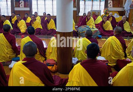 Puja, Mönche beten, Namgyal Kloster in Tsuglagkhang Complex. McLeod Ganj, Dharamsala Himachal Pradesh Zustand, Indien, Asien Stockfoto