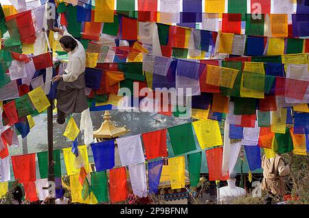 Ein Mann hängt tibetische Gebetsflaggen in Lhagyal Ri, in der Nähe des Tsuglagkhang Komplexes, McLeod Ganj, Dharamsala, Himachal Pradesh State, Indien, Asien Stockfoto