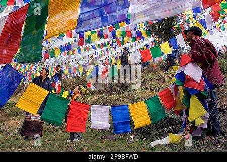 Menschen hängen tibetische Gebetsflaggen in Lhagyal Ri, nahe Tsuglagkhang Komplex, McLeod Ganj, Dharamsala, Himachal Pradesh Staat, Indien, Asien Stockfoto