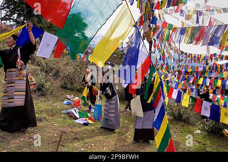 Menschen hängen tibetische Gebetsflaggen in Lhagyal Ri, nahe Tsuglagkhang Komplex, McLeod Ganj, Dharamsala, Himachal Pradesh Staat, Indien, Asien Stockfoto