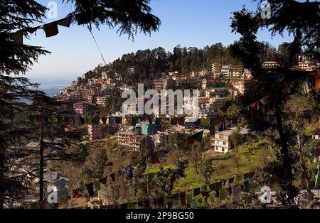 McLeod Ganj, Dharamsala Himachal Pradesh Zustand, Indien, Asien Stockfoto