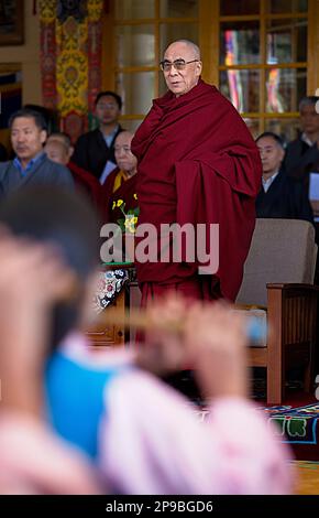 Seine Heiligkeit, der Dalai Lama, im Namgyal-Kloster, im Tsuglagkhang-Komplex. McLeod Ganj, Dharamsala, Himachal Pradesh, Indien, Asien Stockfoto