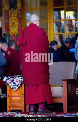 Seine Heiligkeit, der Dalai Lama, im Namgyal-Kloster, im Tsuglagkhang-Komplex. McLeod Ganj, Dharamsala, Himachal Pradesh, Indien, Asien Stockfoto