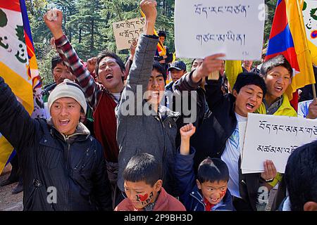 Demonstranten für ein freies Tibet, Jogibara Rd, McLeod Ganj, Dharamsala Himachal Pradesh Zustand, Indien, Asien Stockfoto