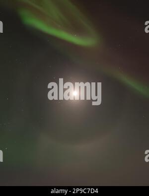 Herrliche Aurora Borealis im Norden Kanadas während der Wintersaison. Grün, Rot und Violett. Aufgenommen am Emerald Lake, Yukon Territory. Stockfoto