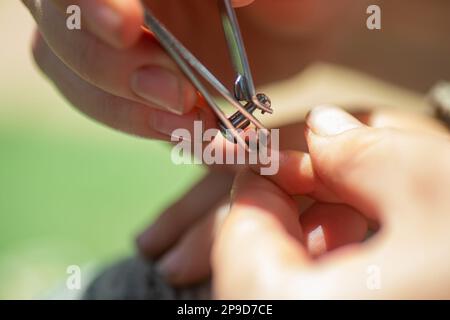 Hässliche, dreckige Nägel des Kindes. Mom schneidet dem Baby die langen Nägel mit einer Nagelzange ab Stockfoto