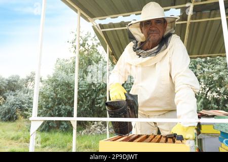 Imker mit Räuchertopf in der Nähe des Bienenstocks Stockfoto