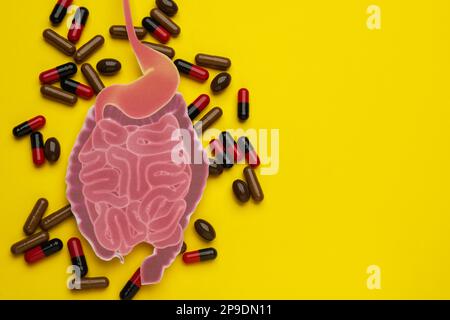 Papierausschnitt des Dünndarms und Pillen auf gelbem Hintergrund, flach liegend. Platz für Text Stockfoto