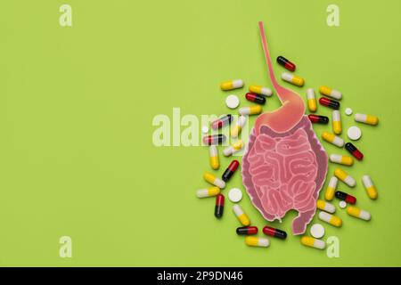 Papierausschnitt des Dünndarms und Pillen auf hellgrünem Hintergrund, flach liegend. Platz für Text Stockfoto