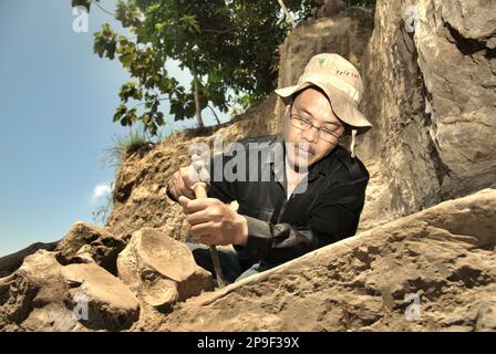 Ein Mitglied des Vertebrate-Forschungsteams der Geologischen Agentur des indonesischen Ministeriums für Energie und mineralische Ressourcen arbeitet an der Ausgrabung versteinerter Knochen einer ausgestorbenen Elefantenart, die wissenschaftlich als Elephas hysudrindicus identifiziert wurde, oder allgemein als "Blora Elephant" bezeichnet wird, in Sunggun, Mendalem, Kradenan, Blora, Zentraljava, Indonesien. Das Team unter der Leitung der Paläontologen Iwan Kurniawan und Fachroel Aziz entdeckte die Knochen der Spezies fast vollständig (ca. 90 Prozent vollständig), sodass sie später eine wissenschaftliche Rekonstruktion bauen konnten, die im Geologiemuseum in... Stockfoto