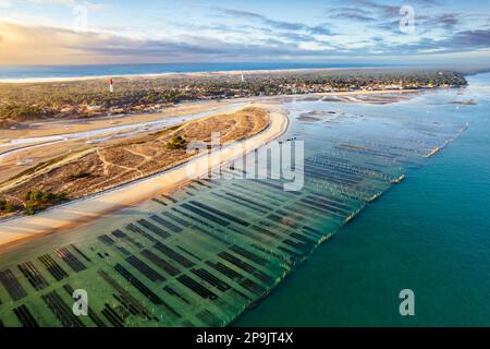 Frankreich. Gironde (33) Lege Cap Ferret. Arcachon Bucht. Luftaufnahme bei Ebbe des Mimbeau Strandes mit Austernbetten und Leuchtturm bei Sonnenuntergang Stockfoto