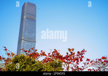 Höchstes Gebäude in Hongkong das International Commerce Center ICC, Hongkong, China. Stockfoto